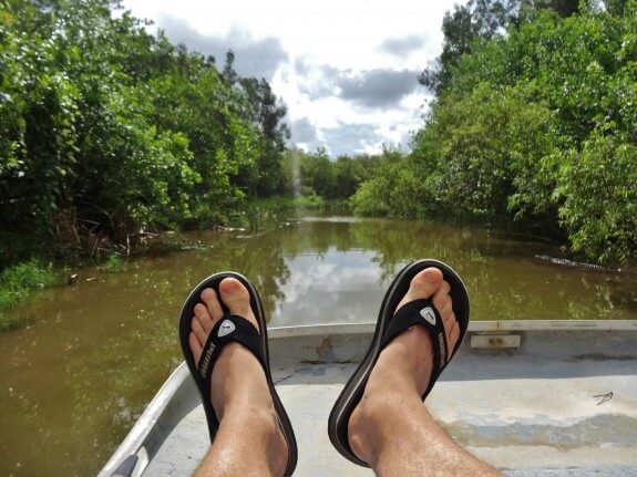 Everglades.jpg