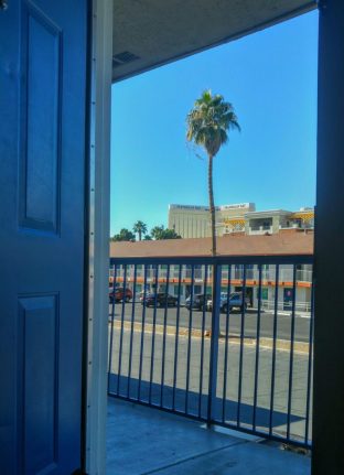 Palmier et ciel bleu pour réveil au Motel