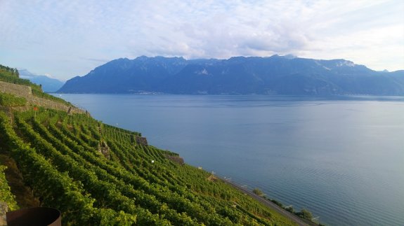 vignobles de lavaux vue