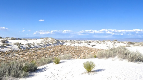 white sands