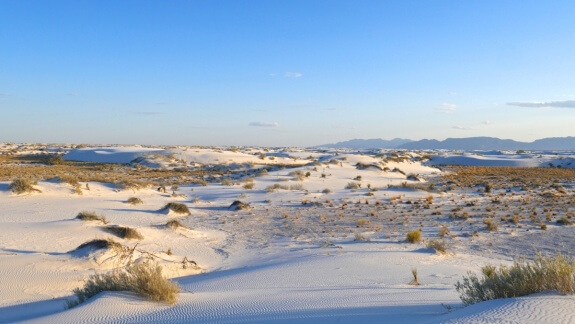 white sands