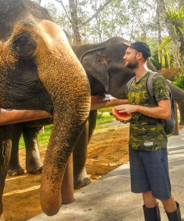 nourrir éléphants thaïlande